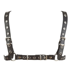 Pakinktai Hook