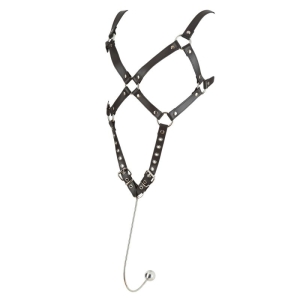 Pakinktai Hook