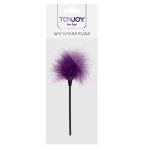 Plunksna Išdykėlė (violetinė)