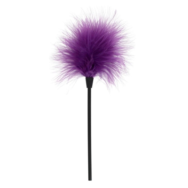 Plunksna Išdykėlė (violetinė)