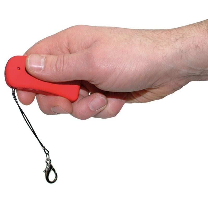 Kiaušinėlis Kontroliuok mane Kiaušinėlis Kontroliuok mane