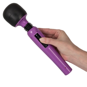 Masažuoklis Passion Pointer