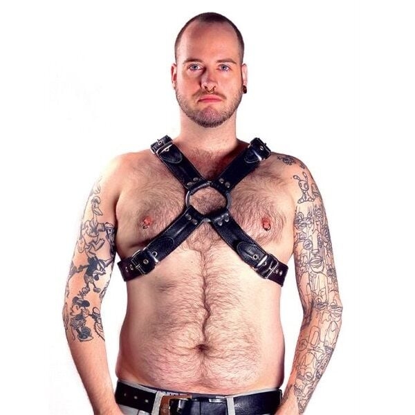 Pakinktai The Bear