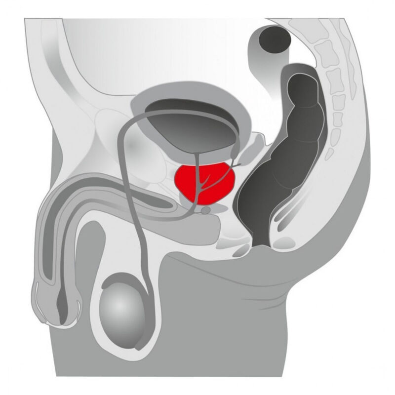 Prostatos masažuoklis Booster Prostatos masažuoklis Booster