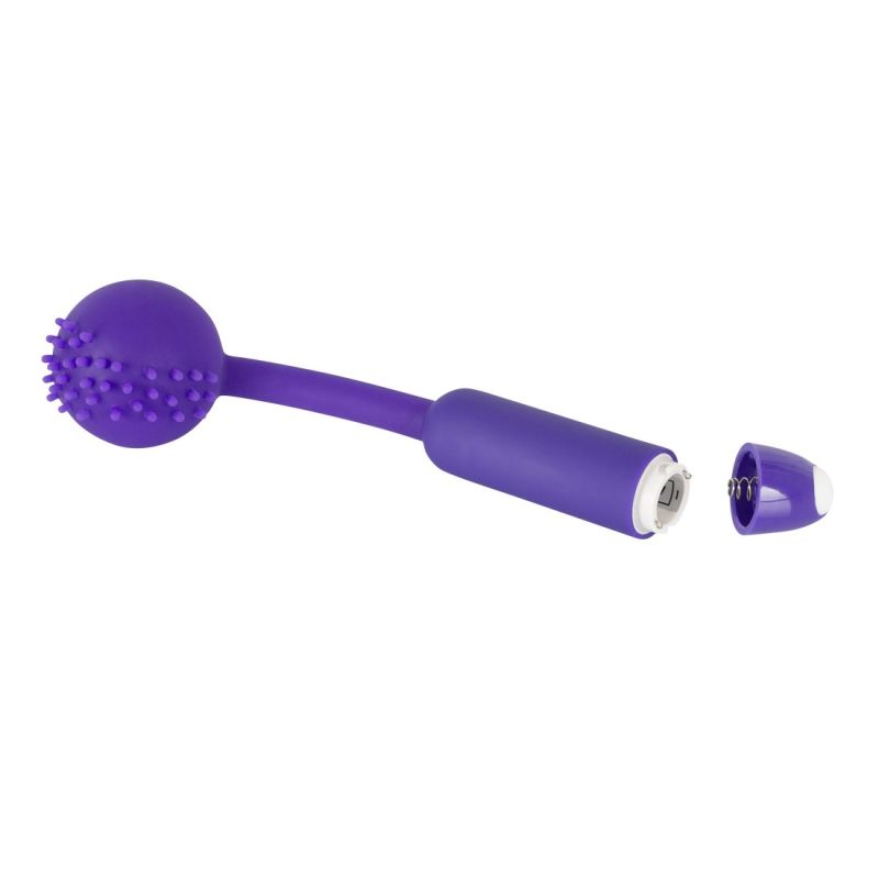 Vibratorius Rugiagėlė Vibratorius Rugiagėlė
