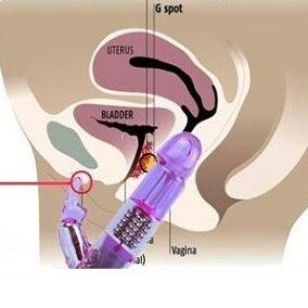 Vibratorius Sexatronic Vibratorius Sexatronic